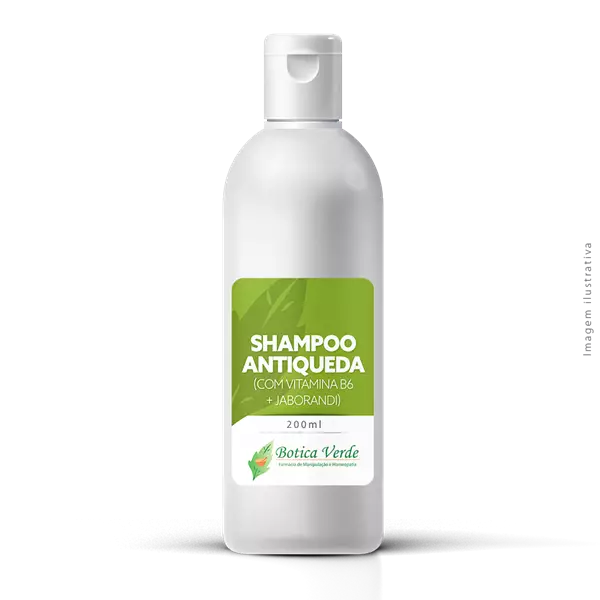 Shampoo Antiqueda 200ml